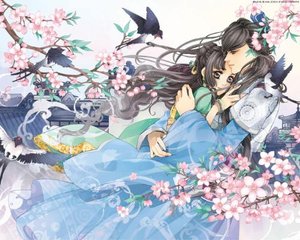 三千佳丽唐诗宋词入口